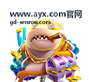 www.ayx.com官网 平台指南