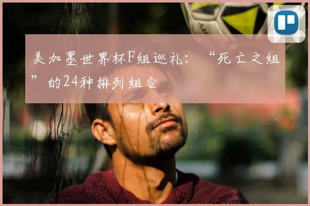 美加墨世界杯F组巡礼：“死亡之组”的24种排列组合